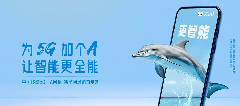 宣化区宣化区河子西镇 移动宽带